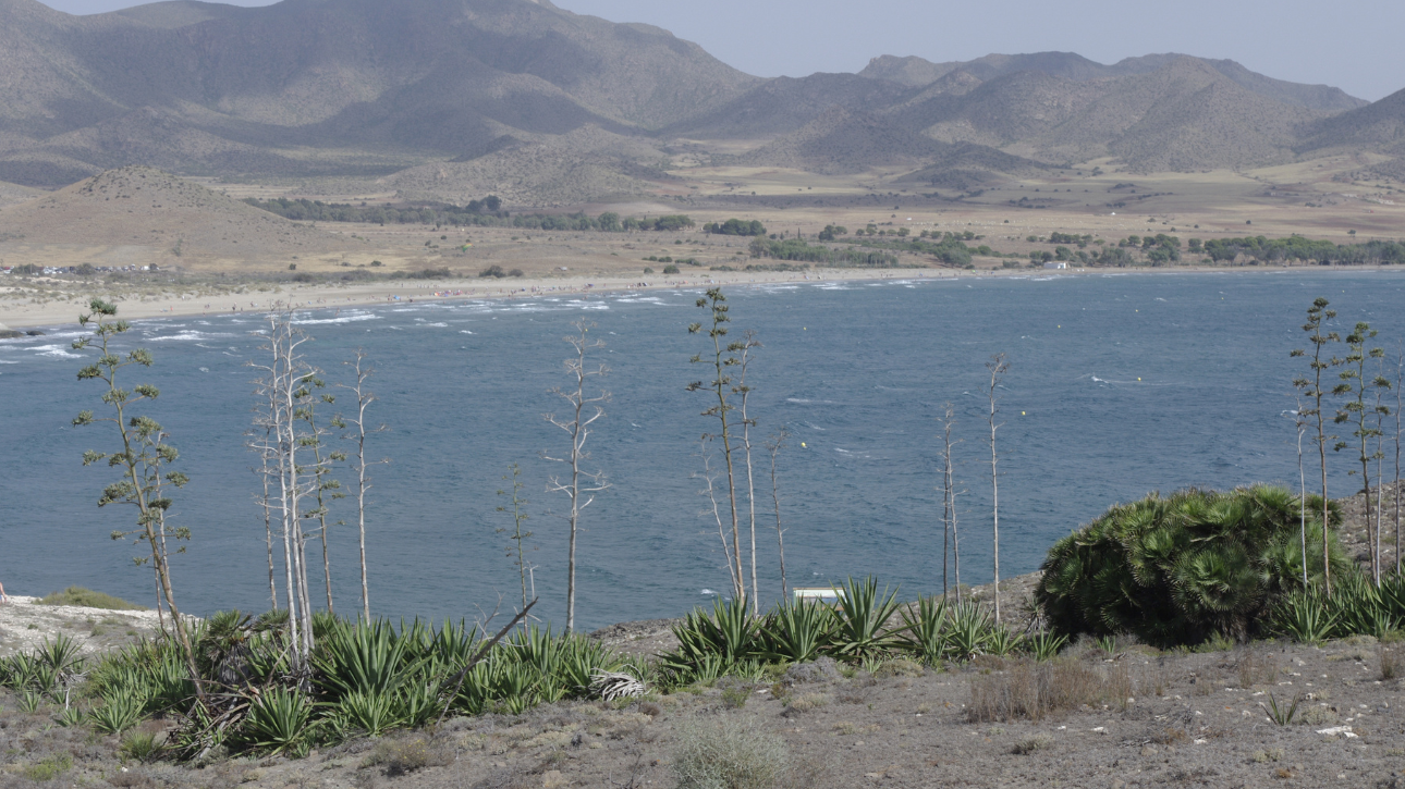 Umanesimo ed ecologia Viaggio nell'Umanesimo